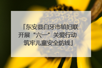 东安县白牙市镇妇联开展“六一”关爱行动 筑牢儿童安全防线