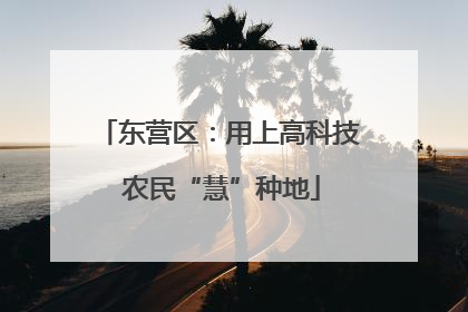 东营区：用上高科技 农民“慧”种地
