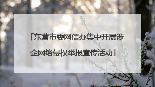 东营市委网信办集中开展涉企网络侵权举报宣传活动