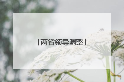 两省领导调整