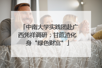 中南大学实践团赴广西凭祥调研：甘蔗渣化身“绿色财富”