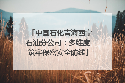 中国石化青海西宁石油分公司：多维度筑牢保密安全防线