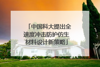 中国科大提出全速度冲击防护仿生材料设计新策略