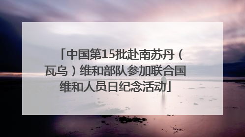 中国第15批赴南苏丹（瓦乌）维和部队参加联合国维和人员日纪念活动