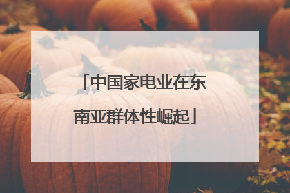 中国家电业在东南亚群体性崛起