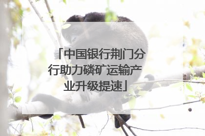 中国银行荆门分行助力磷矿运输产业升级提速