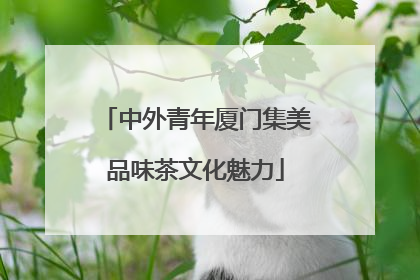 中外青年厦门集美品味茶文化魅力
