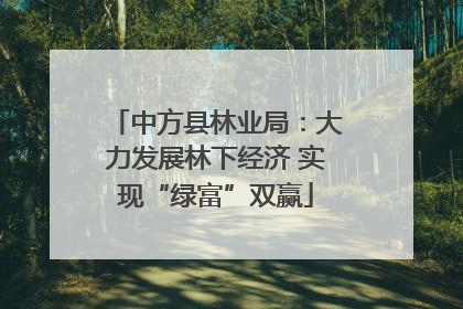 中方县林业局：大力发展林下经济 实现“绿富”双赢