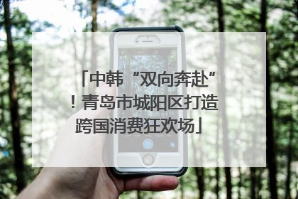 中韩“双向奔赴”！青岛市城阳区打造跨国消费狂欢场