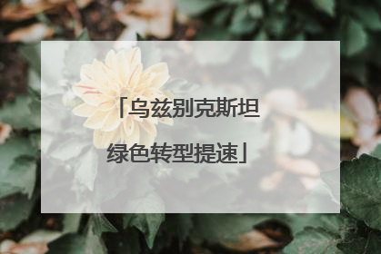 乌兹别克斯坦绿色转型提速