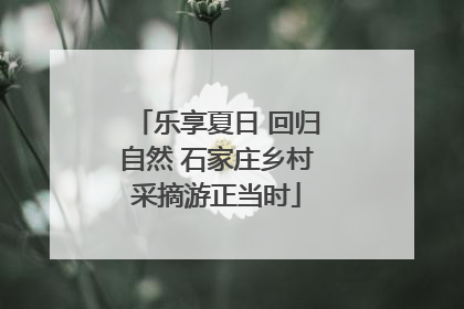 乐享夏日 回归自然 石家庄乡村采摘游正当时