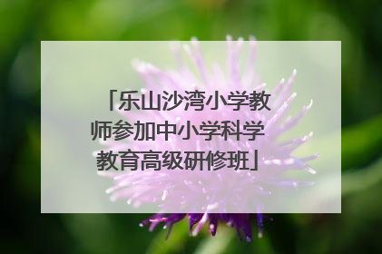 乐山沙湾小学教师参加中小学科学教育高级研修班