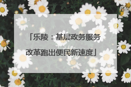 乐陵：基层政务服务改革跑出便民新速度