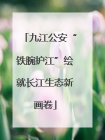 九江公安“铁腕护江”绘就长江生态新画卷
