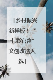 乡村振兴新样板！“七彩官畲”文创改造入选