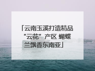 云南玉溪打造精品“云花”产区 蝴蝶兰飘香东南亚