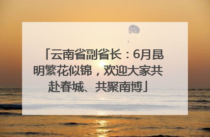 云南省副省长：6月昆明繁花似锦，欢迎大家共赴春城、共聚南博