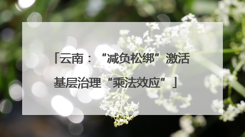 云南：“减负松绑”激活基层治理“乘法效应”