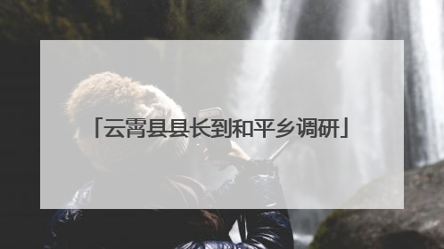 云霄县县长到和平乡调研