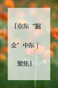 京东“掘金”中东｜聚焦