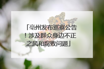 亳州发布巡察公告！涉及群众身边不正之风和腐败问题