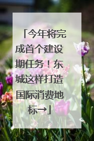 今年将完成首个建设期任务！东城这样打造国际消费地标→