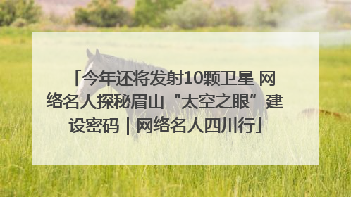 今年还将发射10颗卫星 网络名人探秘眉山“太空之眼”建设密码｜网络名人四川行