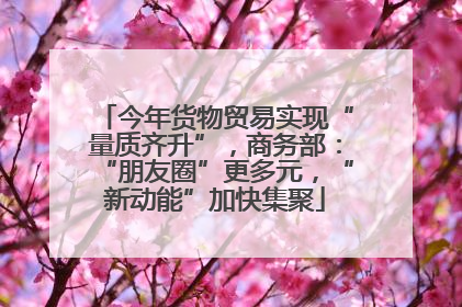 今年货物贸易实现“量质齐升”，商务部：“朋友圈”更多元，“新动能”加快集聚