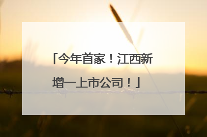今年首家！江西新增一上市公司！