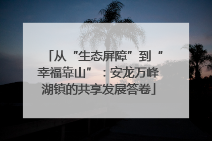 从“生态屏障”到“幸福靠山”：安龙万峰湖镇的共享发展答卷