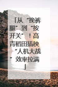 从“挽裤腿”到“按开关”！高青稻田插秧“人机大战”效率拉满