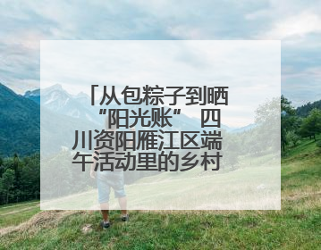 从包粽子到晒“阳光账” 四川资阳雁江区端午活动里的乡村治理答卷