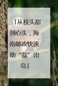 从枝头甜到心头，海南邮政快速助“荔”出岛