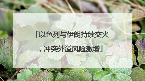 以色列与伊朗持续交火，冲突外溢风险激增