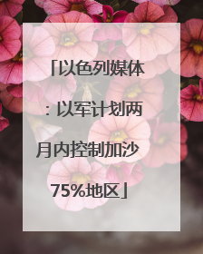以色列媒体：以军计划两月内控制加沙75%地区