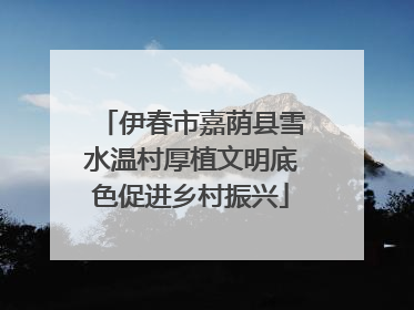 伊春市嘉荫县雪水温村厚植文明底色促进乡村振兴
