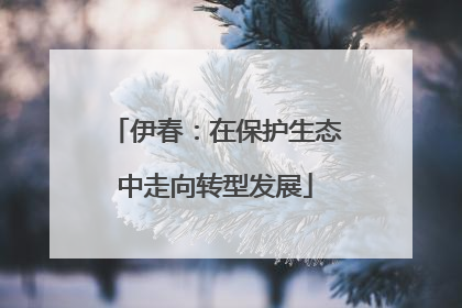伊春：在保护生态中走向转型发展