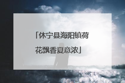 休宁县海阳镇荷花飘香夏意浓