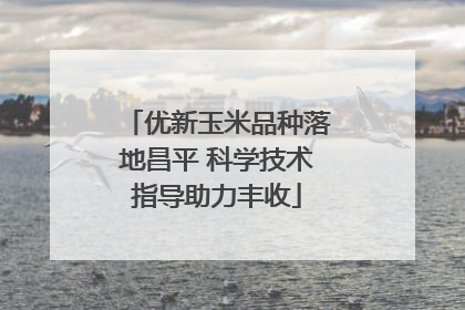 优新玉米品种落地昌平 科学技术指导助力丰收