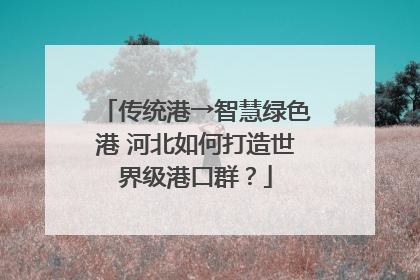 传统港→智慧绿色港 河北如何打造世界级港口群？