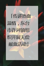 传递热血温情，东台市许河镇组织开展无偿献血活动