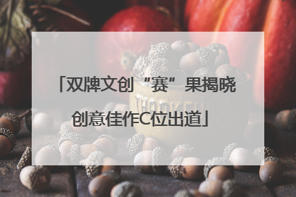 双牌文创“赛”果揭晓 创意佳作C位出道