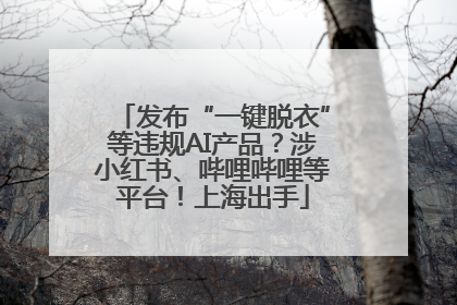 发布“一键脱衣”等违规AI产品？涉小红书、哔哩哔哩等平台！上海出手