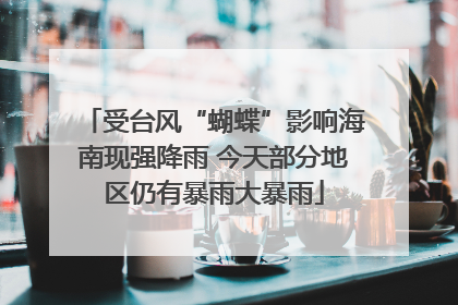受台风“蝴蝶”影响海南现强降雨 今天部分地区仍有暴雨大暴雨