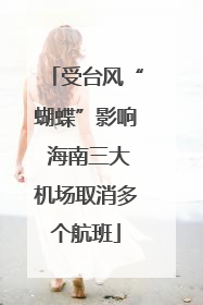 受台风“蝴蝶”影响 海南三大机场取消多个航班