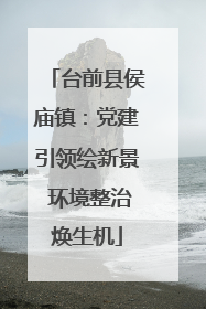 台前县侯庙镇：党建引领绘新景 环境整治焕生机