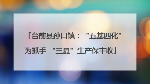 台前县孙口镇：“五基四化”为抓手 “三夏”生产保丰收