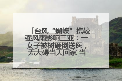 台风“蝴蝶”携较强风雨影响三亚：一女子被树砸倒送医，无大碍当天回家 当地已紧急清障