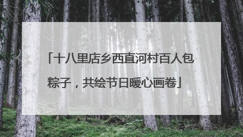十八里店乡西直河村百人包粽子，共绘节日暖心画卷