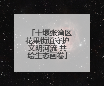 十堰张湾区花果街道守护文明河流 共绘生态画卷
